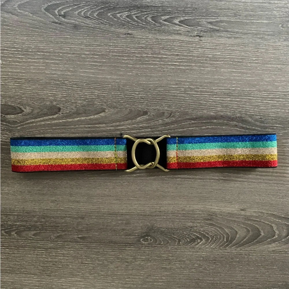 Wild Fable Rainbow Metallic Belt S Stretch Gold Glitter Pride